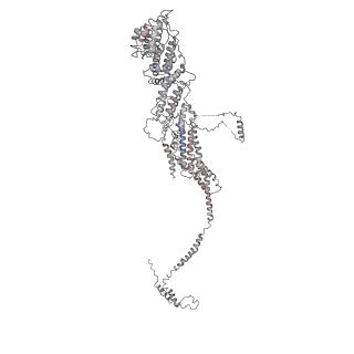 6827_5yfp_D_v1-3
Cryo-EM Structure of the Exocyst Complex