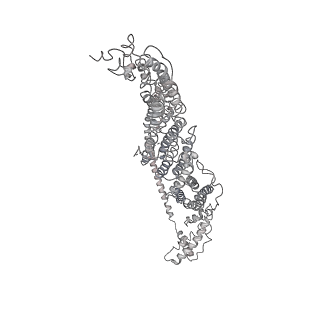 6827_5yfp_E_v1-3
Cryo-EM Structure of the Exocyst Complex