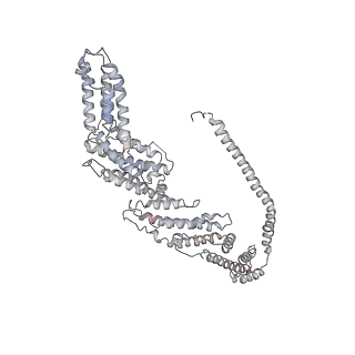 6827_5yfp_G_v1-3
Cryo-EM Structure of the Exocyst Complex