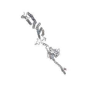 6827_5yfp_H_v1-3
Cryo-EM Structure of the Exocyst Complex