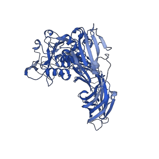 10799_6yg8_D_v1-0
Cryo-EM structure of a BcsB pentamer in the context of an assembled Bcs macrocomplex