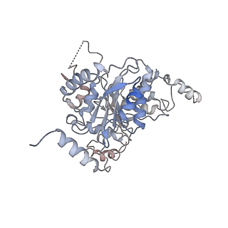 33804_7yg1_A_v1-0
Cryo-EM structure of the C-terminal domain of the human sodium-chloride cotransporter