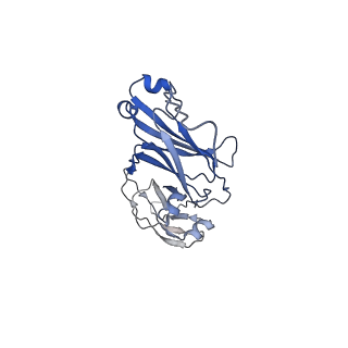 33805_7yg2_A_v1-1
Cryo-EM structure of human IgM-Fc in complex with the J chain and the DBL domain of DBLMSP2