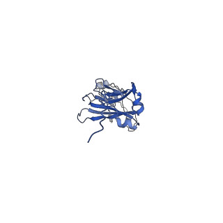 33805_7yg2_B_v1-1
Cryo-EM structure of human IgM-Fc in complex with the J chain and the DBL domain of DBLMSP2