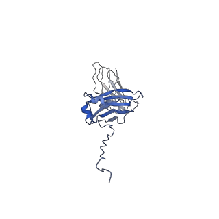 33805_7yg2_C_v1-1
Cryo-EM structure of human IgM-Fc in complex with the J chain and the DBL domain of DBLMSP2