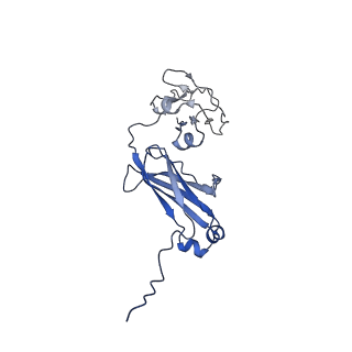 33805_7yg2_D_v1-1
Cryo-EM structure of human IgM-Fc in complex with the J chain and the DBL domain of DBLMSP2