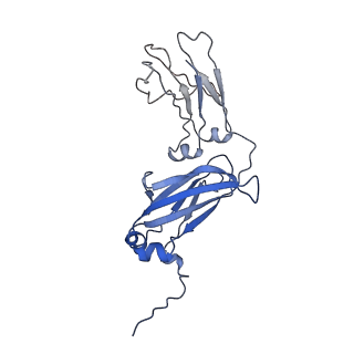 33805_7yg2_E_v1-1
Cryo-EM structure of human IgM-Fc in complex with the J chain and the DBL domain of DBLMSP2