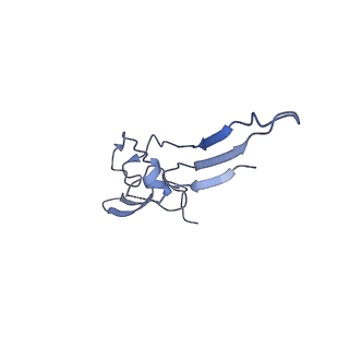 33805_7yg2_J_v1-1
Cryo-EM structure of human IgM-Fc in complex with the J chain and the DBL domain of DBLMSP2