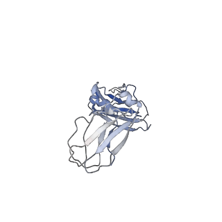 33805_7yg2_K_v1-1
Cryo-EM structure of human IgM-Fc in complex with the J chain and the DBL domain of DBLMSP2