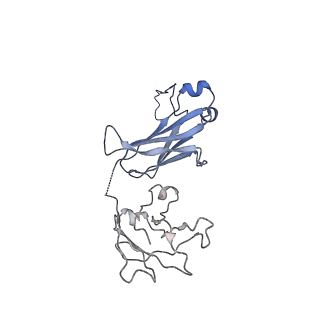 33805_7yg2_L_v1-1
Cryo-EM structure of human IgM-Fc in complex with the J chain and the DBL domain of DBLMSP2