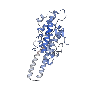 33805_7yg2_M_v1-1
Cryo-EM structure of human IgM-Fc in complex with the J chain and the DBL domain of DBLMSP2