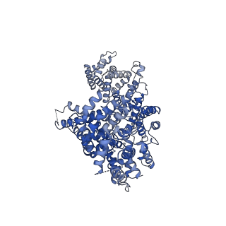 33807_7yg4_A_v1-2
Structure of WTAP-VIRMA in the m6A writer complex