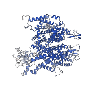 33808_7yg5_A_v1-0
Structure of human R-type voltage-gated CaV2.3-alpha2/delta1-beta1 channel complex in the topiramate-bound state