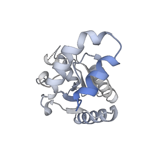 33808_7yg5_B_v1-0
Structure of human R-type voltage-gated CaV2.3-alpha2/delta1-beta1 channel complex in the topiramate-bound state