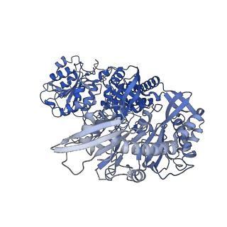 33808_7yg5_D_v1-0
Structure of human R-type voltage-gated CaV2.3-alpha2/delta1-beta1 channel complex in the topiramate-bound state
