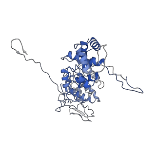 33810_7yg7_A_v1-2
Structure of the Spring Viraemia of Carp Virus ribonucleoprotein Complex