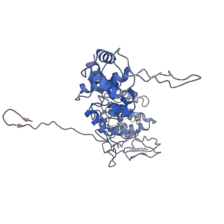 33810_7yg7_B_v1-2
Structure of the Spring Viraemia of Carp Virus ribonucleoprotein Complex
