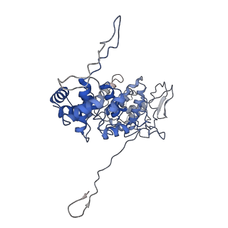 33810_7yg7_D_v1-2
Structure of the Spring Viraemia of Carp Virus ribonucleoprotein Complex