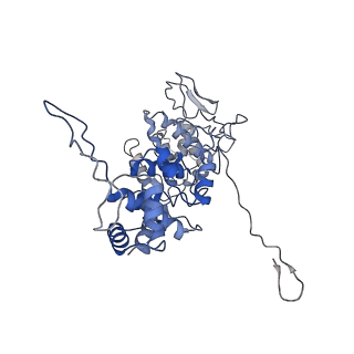 33810_7yg7_F_v1-2
Structure of the Spring Viraemia of Carp Virus ribonucleoprotein Complex