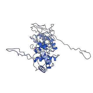 33810_7yg7_G_v1-2
Structure of the Spring Viraemia of Carp Virus ribonucleoprotein Complex