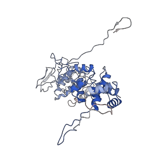 33810_7yg7_I_v1-2
Structure of the Spring Viraemia of Carp Virus ribonucleoprotein Complex