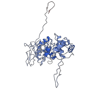 33810_7yg7_J_v1-2
Structure of the Spring Viraemia of Carp Virus ribonucleoprotein Complex