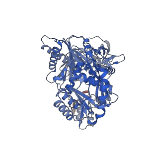 33817_7ygn_A_v1-0
Cryo-EM structure of the Mili in complex with piRNA