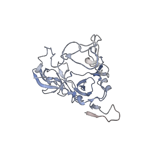10809_6yhs_A_v1-1
Acinetobacter baumannii ribosome-amikacin complex - 50S subunit