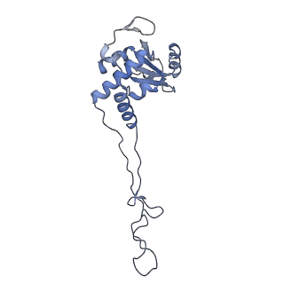 10809_6yhs_C_v1-1
Acinetobacter baumannii ribosome-amikacin complex - 50S subunit