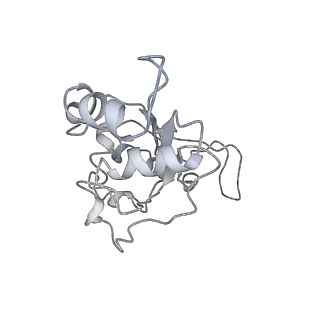10809_6yhs_D_v1-1
Acinetobacter baumannii ribosome-amikacin complex - 50S subunit