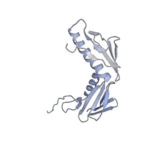 10809_6yhs_E_v1-1
Acinetobacter baumannii ribosome-amikacin complex - 50S subunit