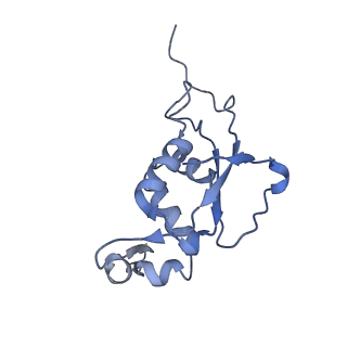 10809_6yhs_F_v1-1
Acinetobacter baumannii ribosome-amikacin complex - 50S subunit