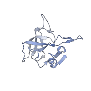 10809_6yhs_G_v1-1
Acinetobacter baumannii ribosome-amikacin complex - 50S subunit