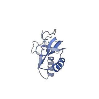 10809_6yhs_I_v1-1
Acinetobacter baumannii ribosome-amikacin complex - 50S subunit