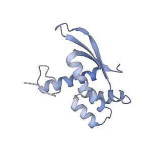10809_6yhs_J_v1-1
Acinetobacter baumannii ribosome-amikacin complex - 50S subunit