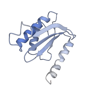 10809_6yhs_K_v1-1
Acinetobacter baumannii ribosome-amikacin complex - 50S subunit
