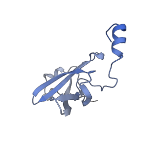 10809_6yhs_L_v1-1
Acinetobacter baumannii ribosome-amikacin complex - 50S subunit