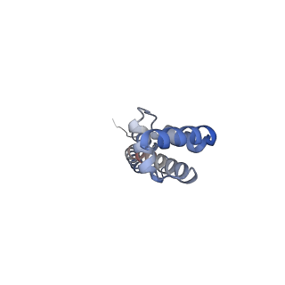 10809_6yhs_M_v1-1
Acinetobacter baumannii ribosome-amikacin complex - 50S subunit