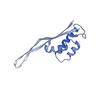 10809_6yhs_O_v1-1
Acinetobacter baumannii ribosome-amikacin complex - 50S subunit