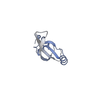 10809_6yhs_P_v1-1
Acinetobacter baumannii ribosome-amikacin complex - 50S subunit