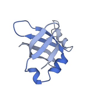 10809_6yhs_R_v1-1
Acinetobacter baumannii ribosome-amikacin complex - 50S subunit