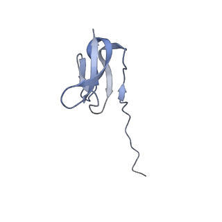 10809_6yhs_S_v1-1
Acinetobacter baumannii ribosome-amikacin complex - 50S subunit