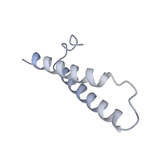 10809_6yhs_U_v1-1
Acinetobacter baumannii ribosome-amikacin complex - 50S subunit
