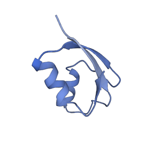 10809_6yhs_V_v1-1
Acinetobacter baumannii ribosome-amikacin complex - 50S subunit
