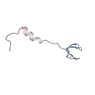 10809_6yhs_X_v1-1
Acinetobacter baumannii ribosome-amikacin complex - 50S subunit