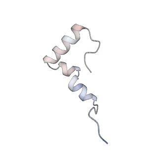 10809_6yhs_Z_v1-1
Acinetobacter baumannii ribosome-amikacin complex - 50S subunit