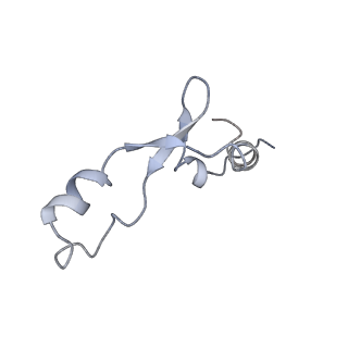 10809_6yhs_a_v1-1
Acinetobacter baumannii ribosome-amikacin complex - 50S subunit