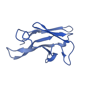 33820_7yh6_L_v1-1
Structure of SARS-CoV-2 spike RBD in complex with neutralizing antibody NIV-8