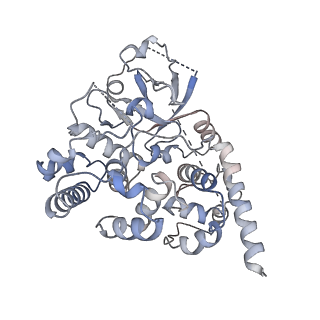 33832_7yho_A_v1-1
CryoEM structure of Arabidopsis ROS1 in complex with TG mismatch dsDNA at 3.3 Angstroms resolution