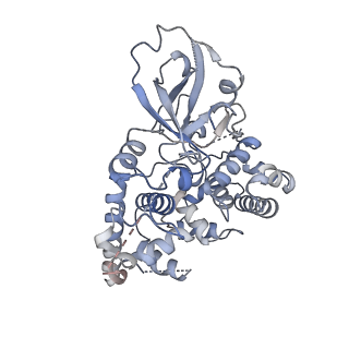33835_7yhp_A_v1-1
CryoEM structure of Arabidopsis ROS1 in complex with 5mC-dsDNA at 3.1 Angstroms resolution